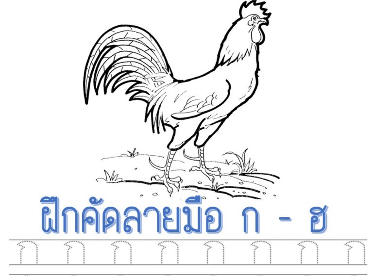 คัดลายมือ ก - ฮ